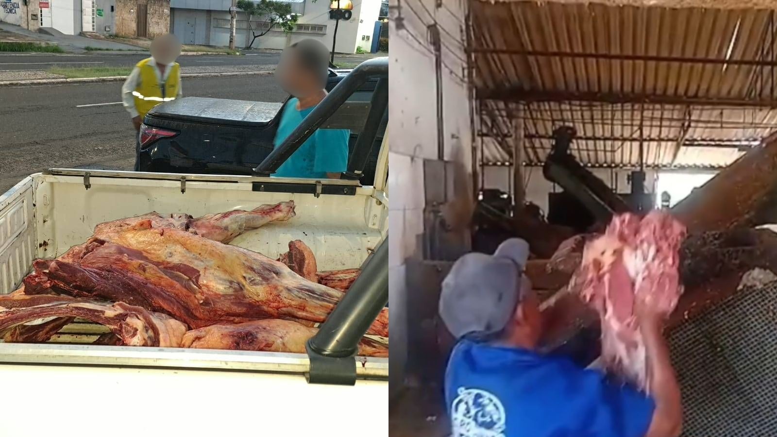 Teresina: A Preocupante Circulação de Carne Irregular e o Risco Oculto na Mesa do Consumidor