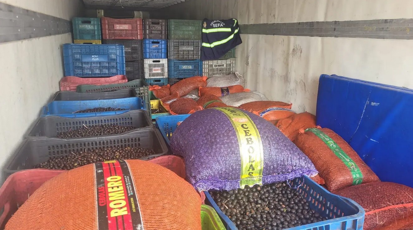 Apreensões de Açaí e Diesel Irregulares no Pará: A Tensão Entre a Fiscalização e a Economia Informal