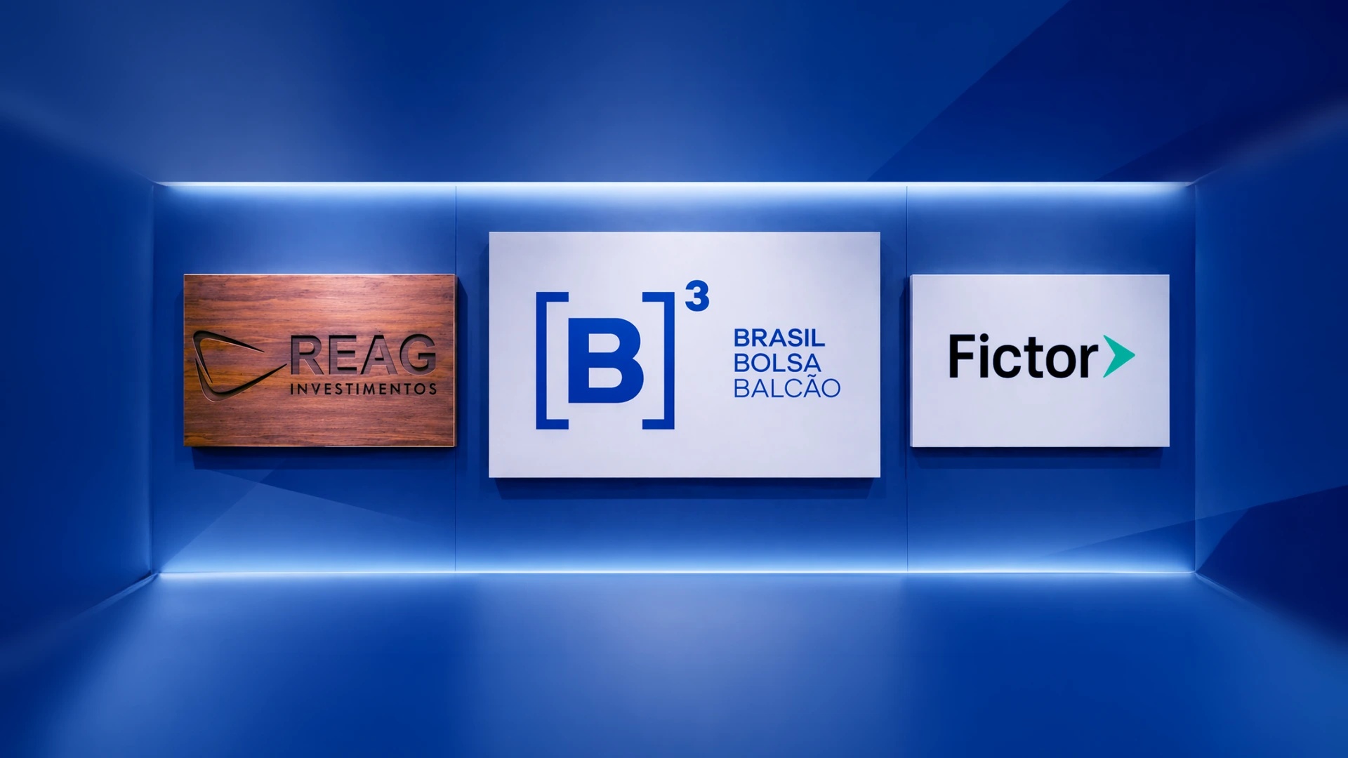 IPO Reverso: A Fenda Regulatória da B3 que Expõe Investidores a Riscos Ocultos