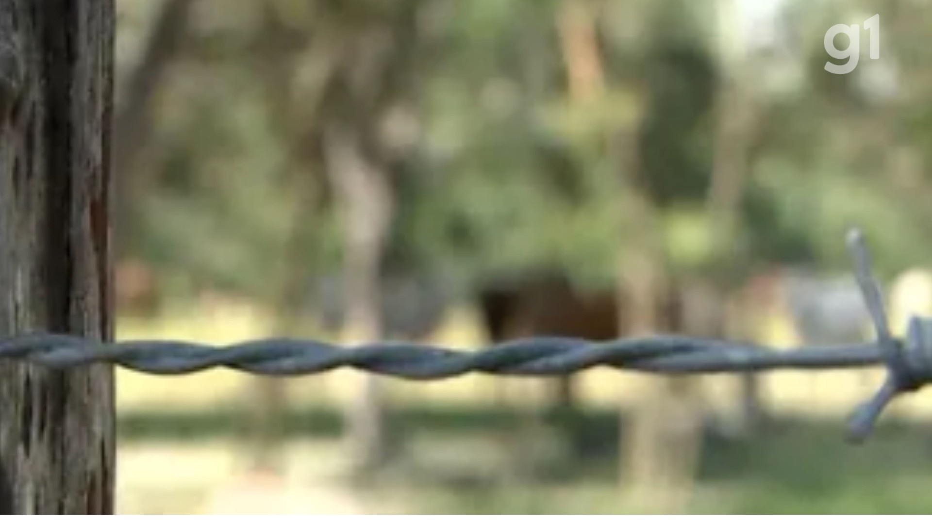 Maranhão em Alerta: Conflitos Agrários, Trabalho Escravo e Contaminação Formam Cenário Crítico