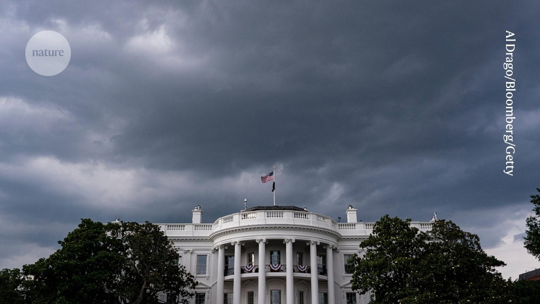 Cortes Orçamentários na Ciência dos EUA: O Risco Iminente à Liderança Global e à Inovação