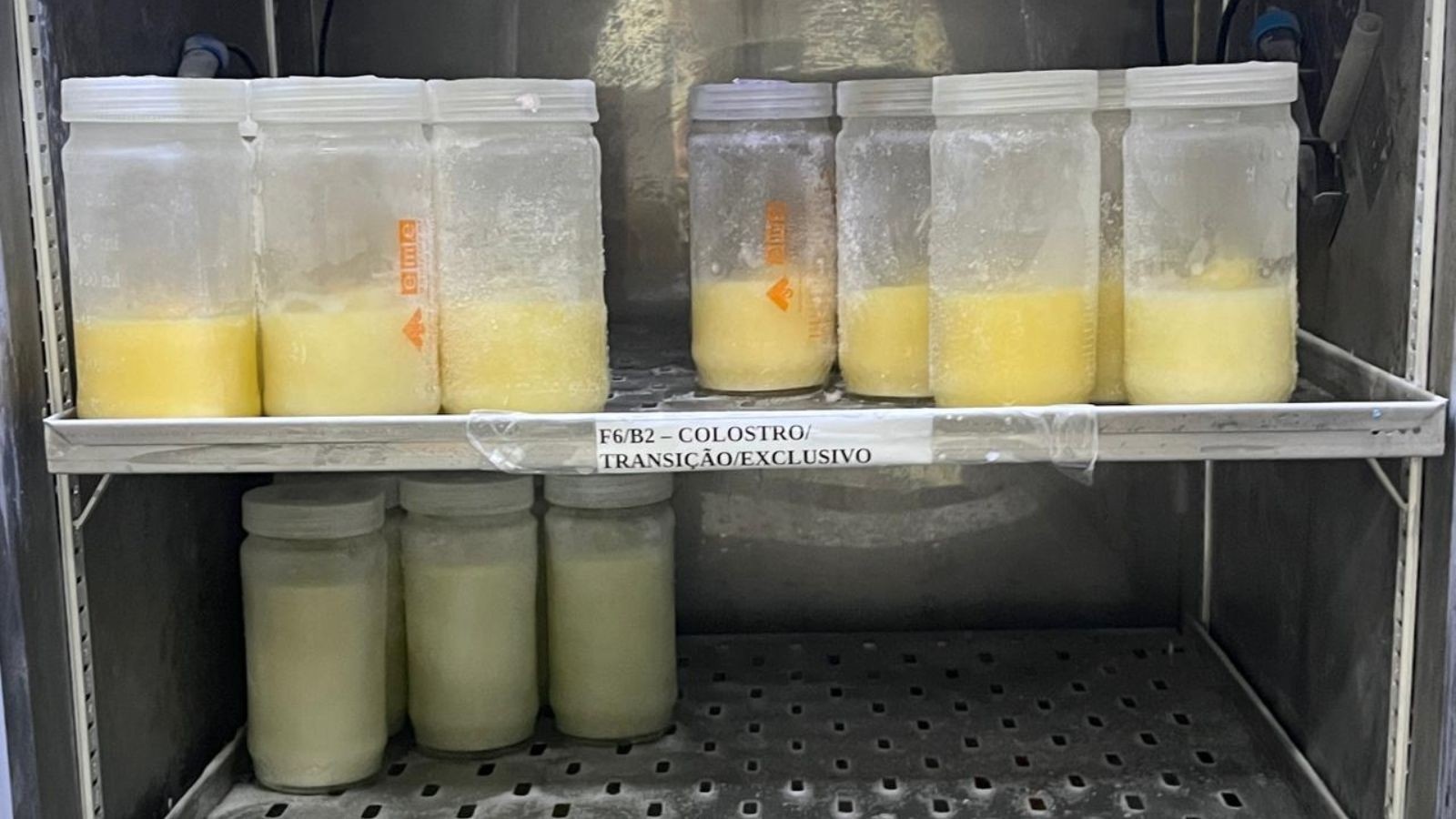 Crise Silenciosa: Queda no Estoque de Leite Humano no Piauí Revela Desafios da Saúde Materno-Infantil Regional