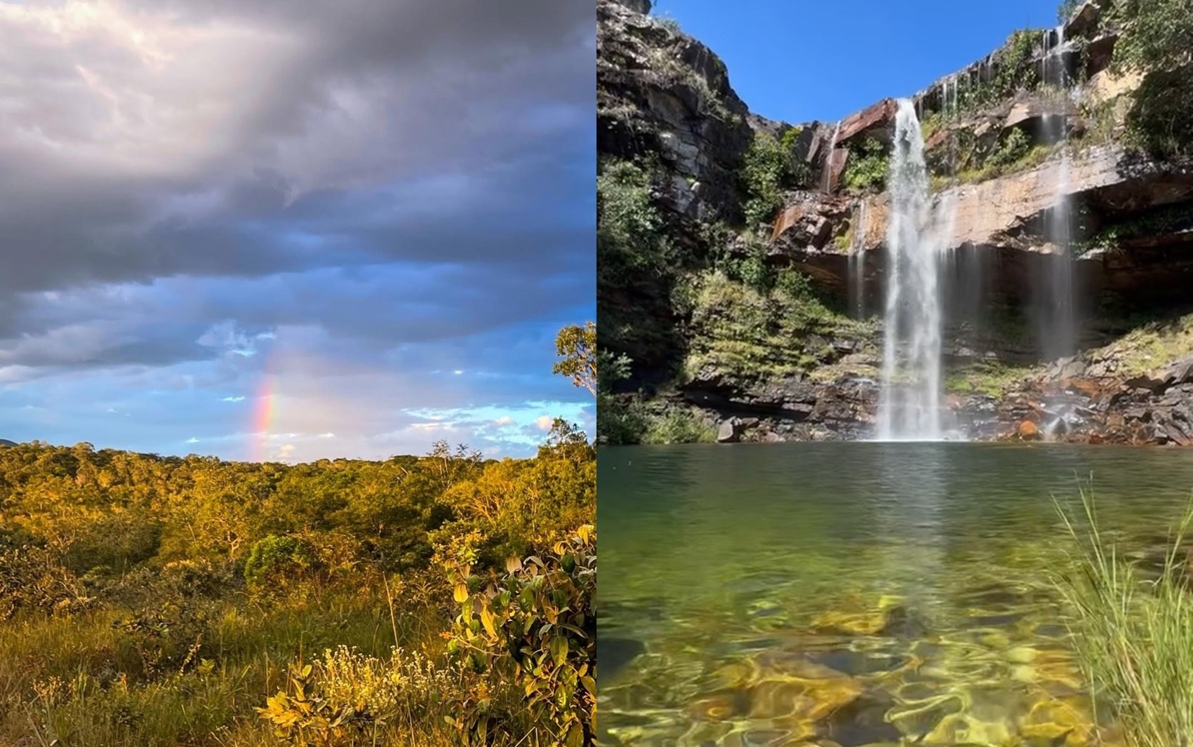 Ataque de Onça na Chapada dos Veadeiros: Uma Análise da Encruzilhada entre Ecoturismo e Conservação no Coração do Brasil