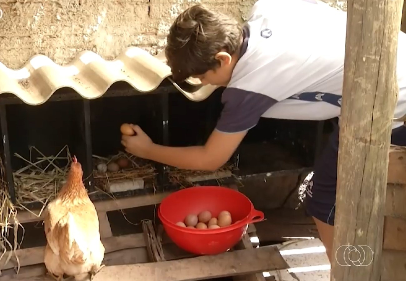 Empreendedorismo Infantil em Palmas: Um Modelo para o Desenvolvimento Econômico Regional