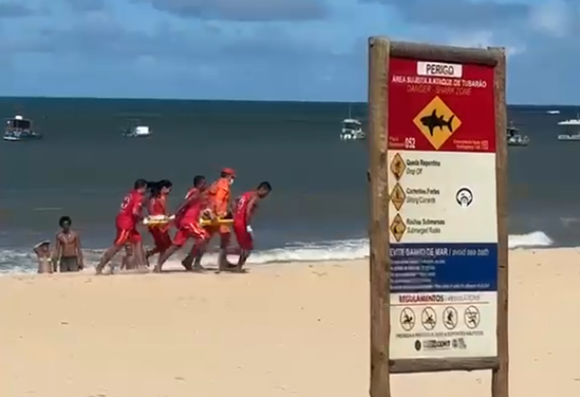 Pernambuco: A Recorrência dos Ataques de Tubarão e o Dilema da Segurança Costeira Regional