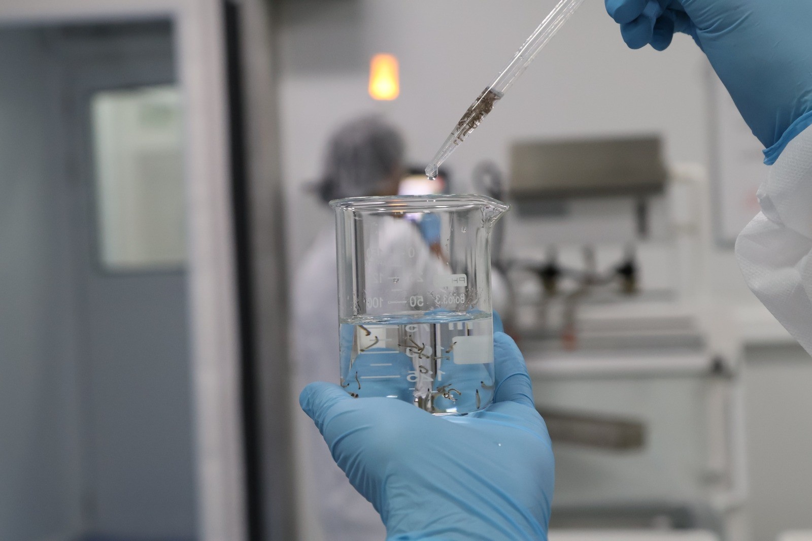 Porto Velho na Vanguarda: A Revolução Biotecnológica contra a Dengue e o Impacto na Saúde Regional