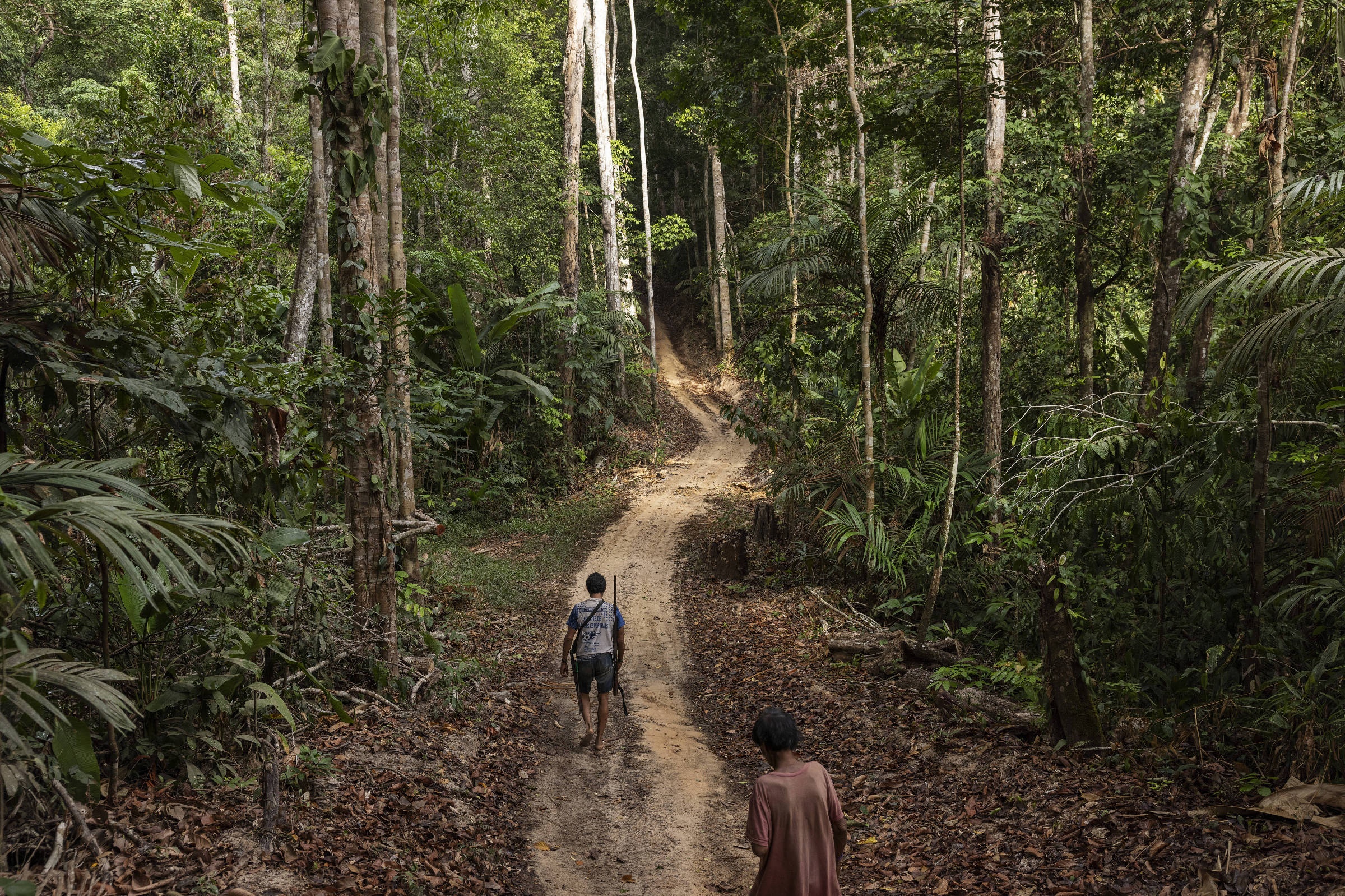 Mongabay abre inscrições para bolsa de jornalismo ambiental