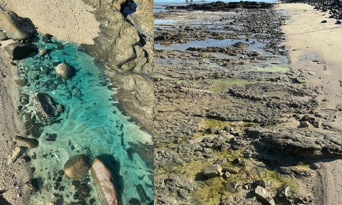 São Tomé de Paripe: A Batalha por Reparação e o Legado de um Desastre Ambiental