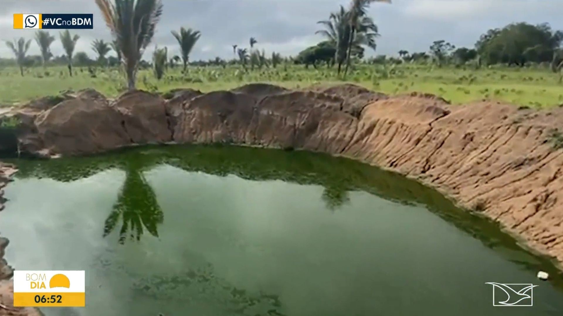 Dejetos Hospitalares em Solo Quilombola: A Crônica de uma Contaminação Anunciada no Maranhão