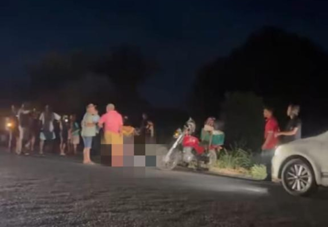Tragédia na TO-201 Acende Alerta para Segurança Viária e Abandono Animal no Tocantins