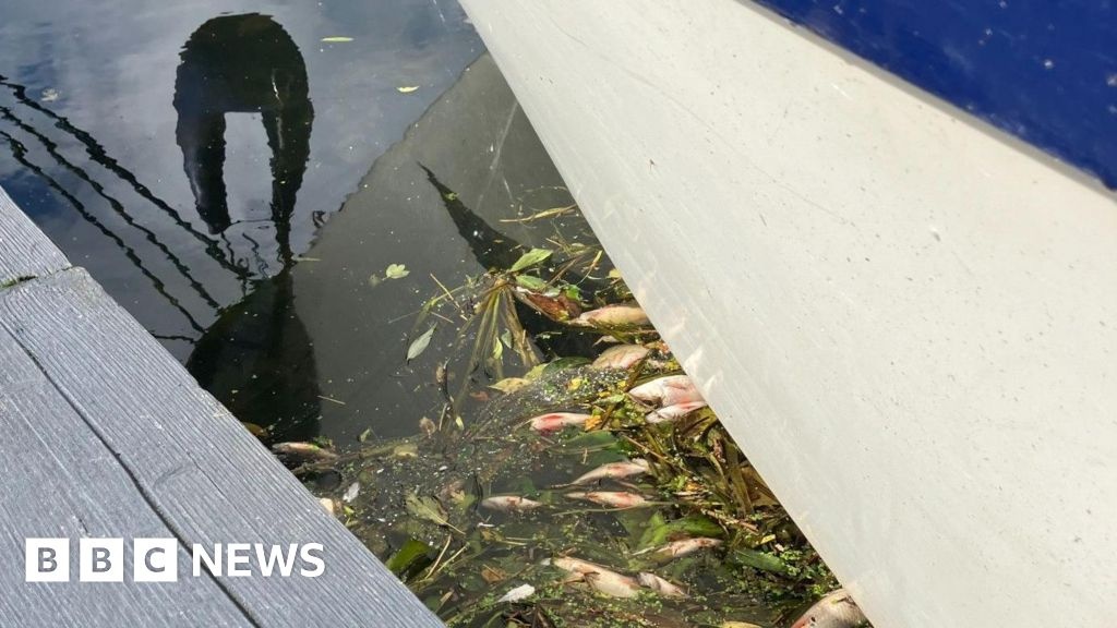 Ecossistemas Aquáticos sob Ataque: A Ciência por Trás da Tragédia e a Urgência da Fiscalização