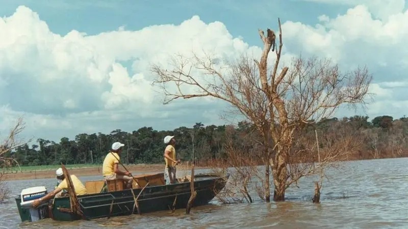 Itaipu e o Legado Ambiental: A Operação Mymba Kuéra e a Gênese da Consciência Ecológica Regional