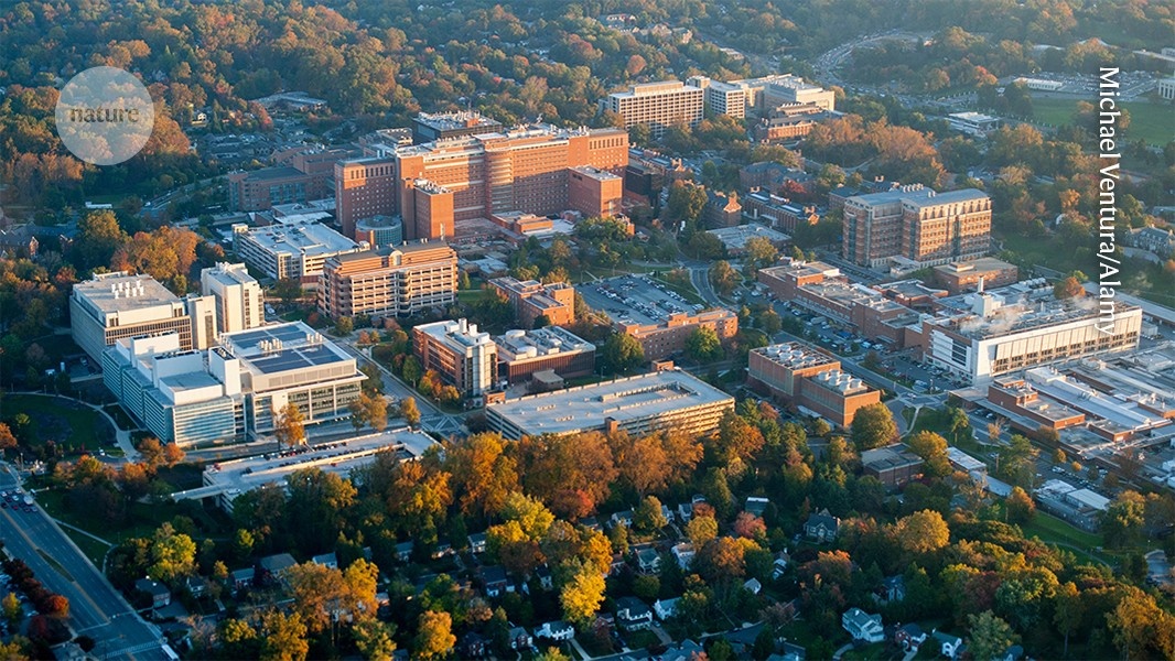 NIH Abandona Ciência Dirigida: Reorientação Estratégica Impacta Futuro da Pesquisa Biomédica