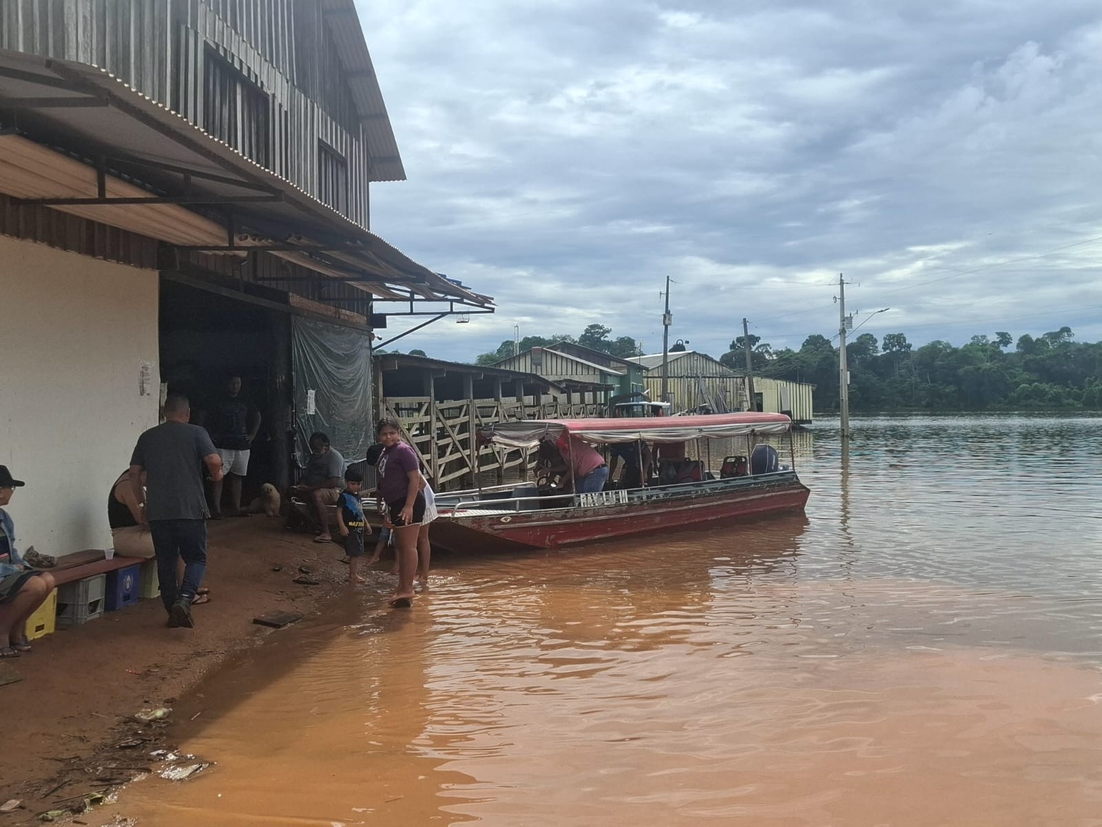 Rondônia em Alerta: A Crônica Cheia do Rio Madeira e os Desafios da Resiliência Regional