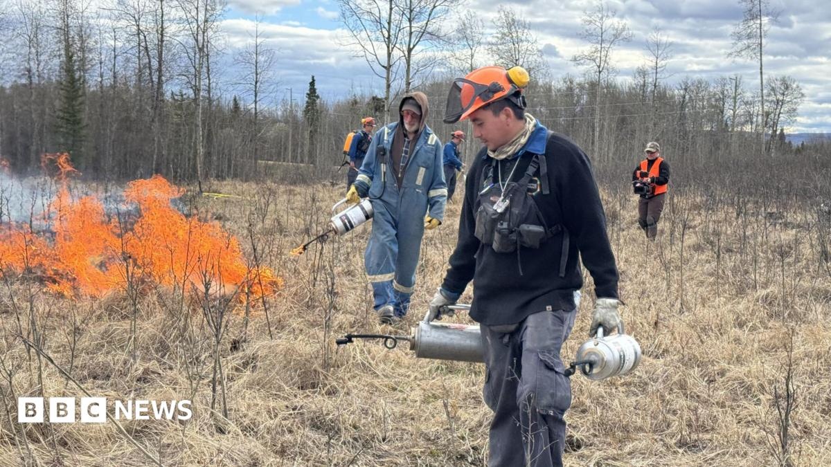 Incêndios no Canadá: A Ciência da Resiliência Comunitária Contra o Clima Extremo