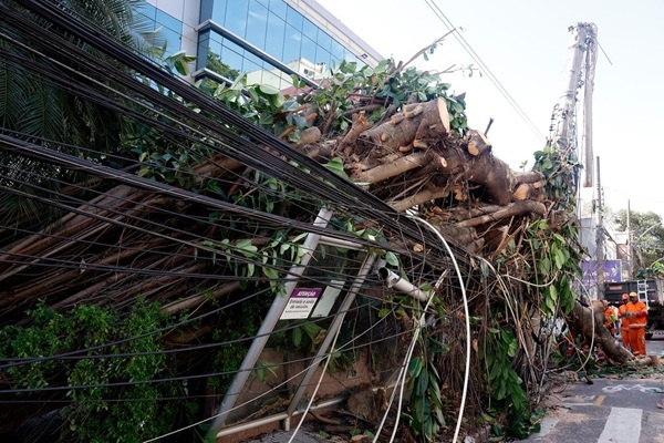 Ventos Extremos no Rio: A Ciência por Trás da Vulnerabilidade Climática Urbana