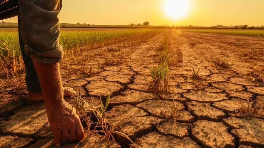 Nova lei do seguro rural amplia proteção para produtores no campo