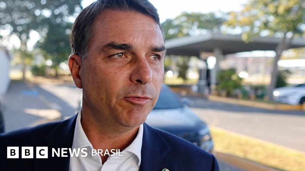 Conexão Entre Senador e Banqueiro Detido: Implicações Profundas para a Governança e Confiança Pública