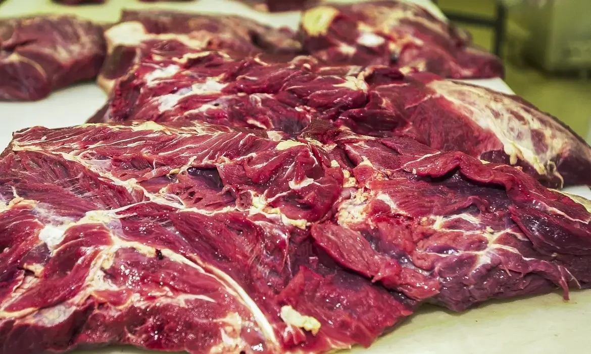 Veto Europeu à Carne Brasileira: Reconfigurando o Tabuleiro do Agronegócio Global