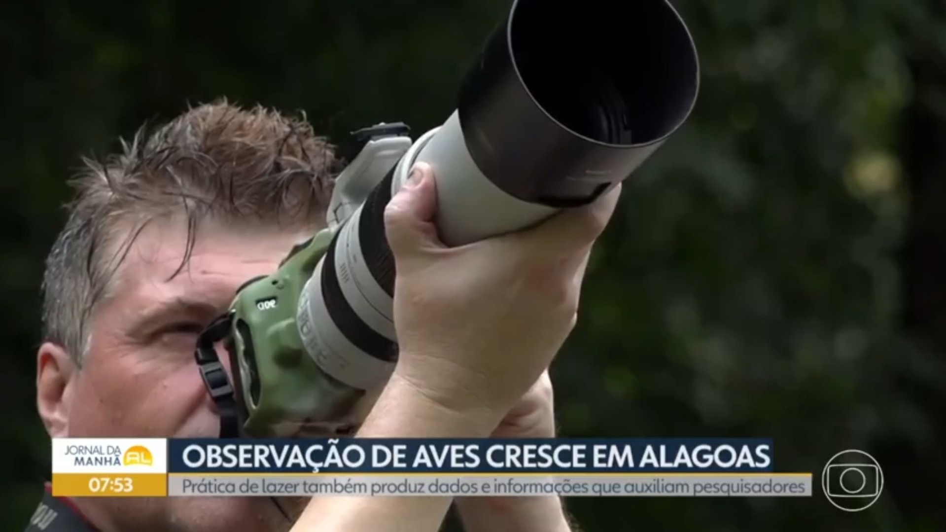 Birdwatching em Alagoas: Da Contemplação à Conservação Ativa da Mata Atlântica