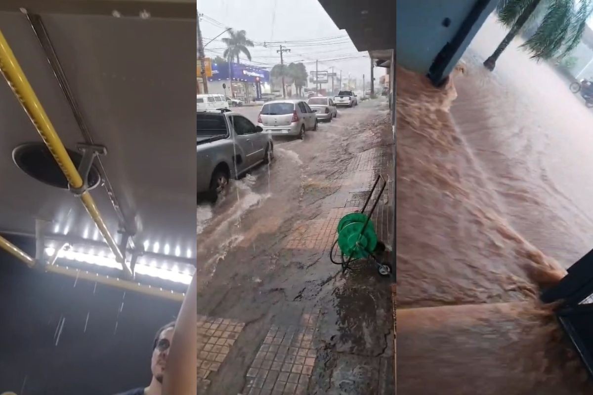 Campo Grande Submersa: A Crônica Recorrente dos Alagamentos e o Transporte Público em Risco