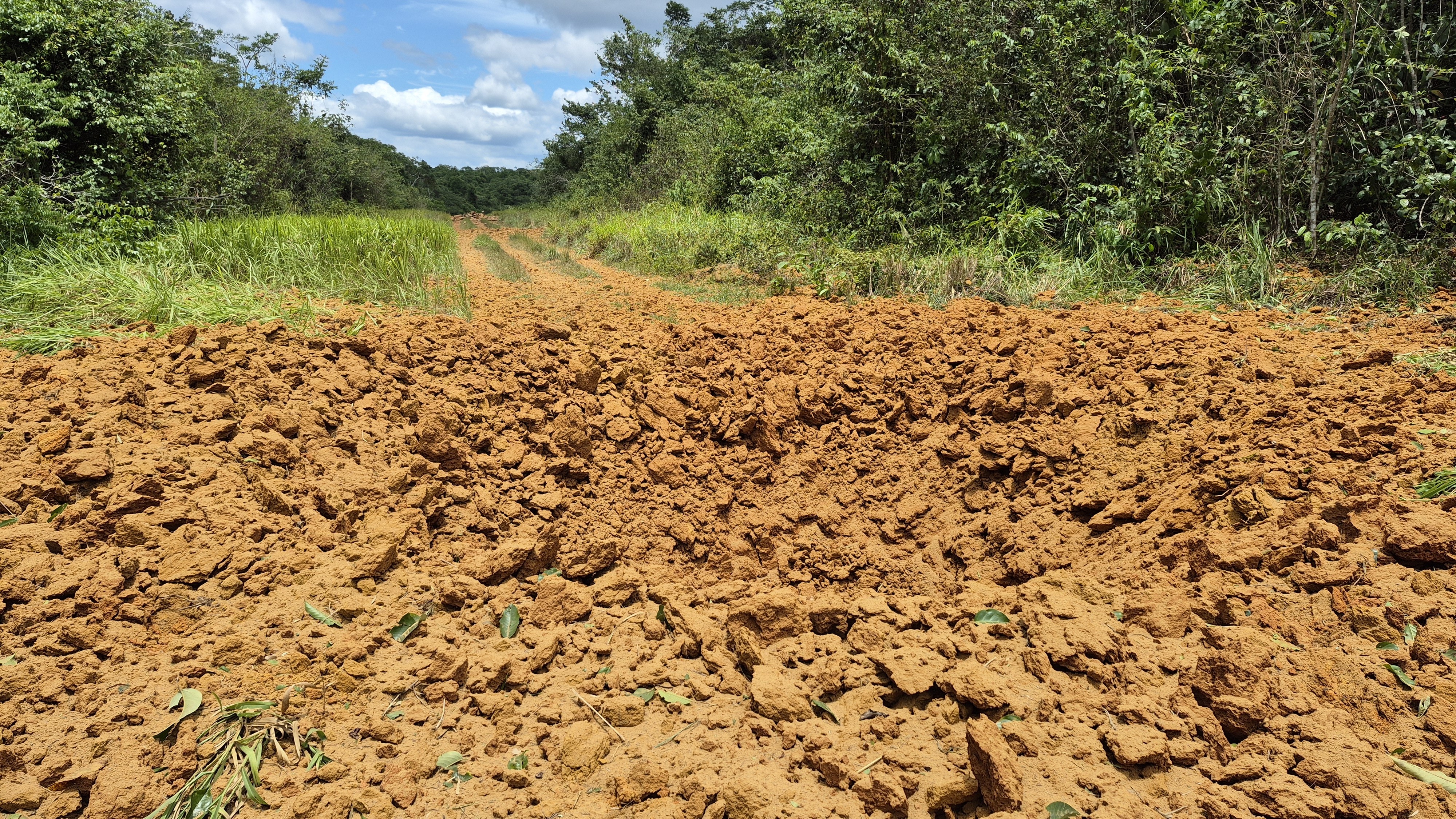 Yanomami: Destruição de 80 Pistas Clandestinas Revela Nova Dinâmica do Garimpo e Impacta Roraima