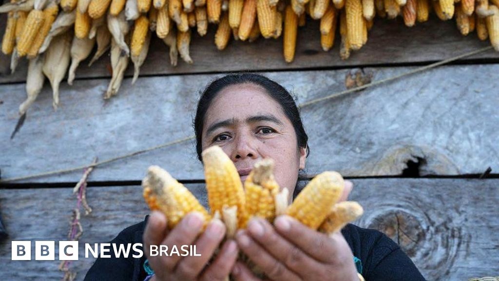 Super El Niño: América Latina se Prepara para Crise Climática e Seus Efeitos Prolongados