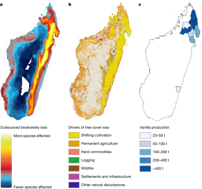 Análise Revisa Atribuição da Perda de Biodiversidade e Alerta para Políticas Ambientais