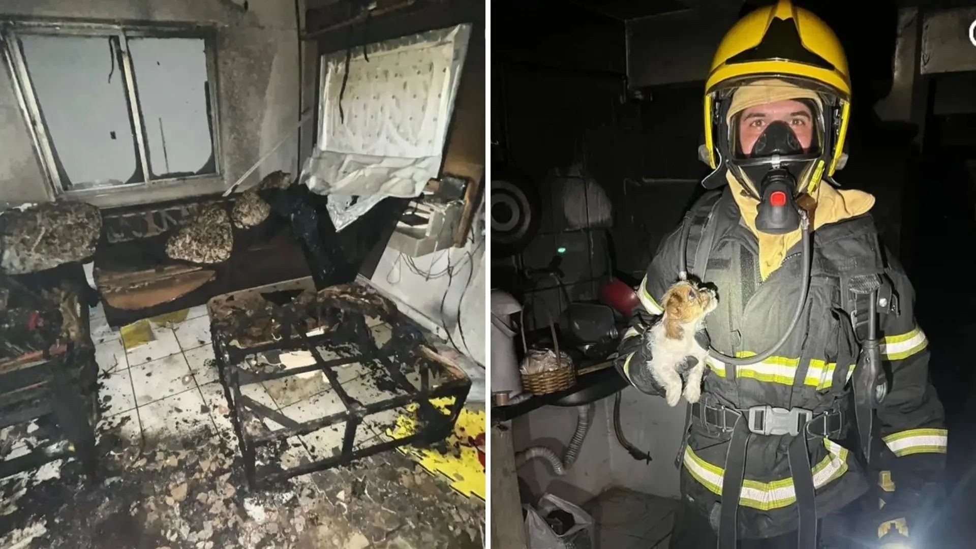 Incêndio em Colatina: O Resgate que Revela Vulnerabilidades Urgentes na Segurança Residencial