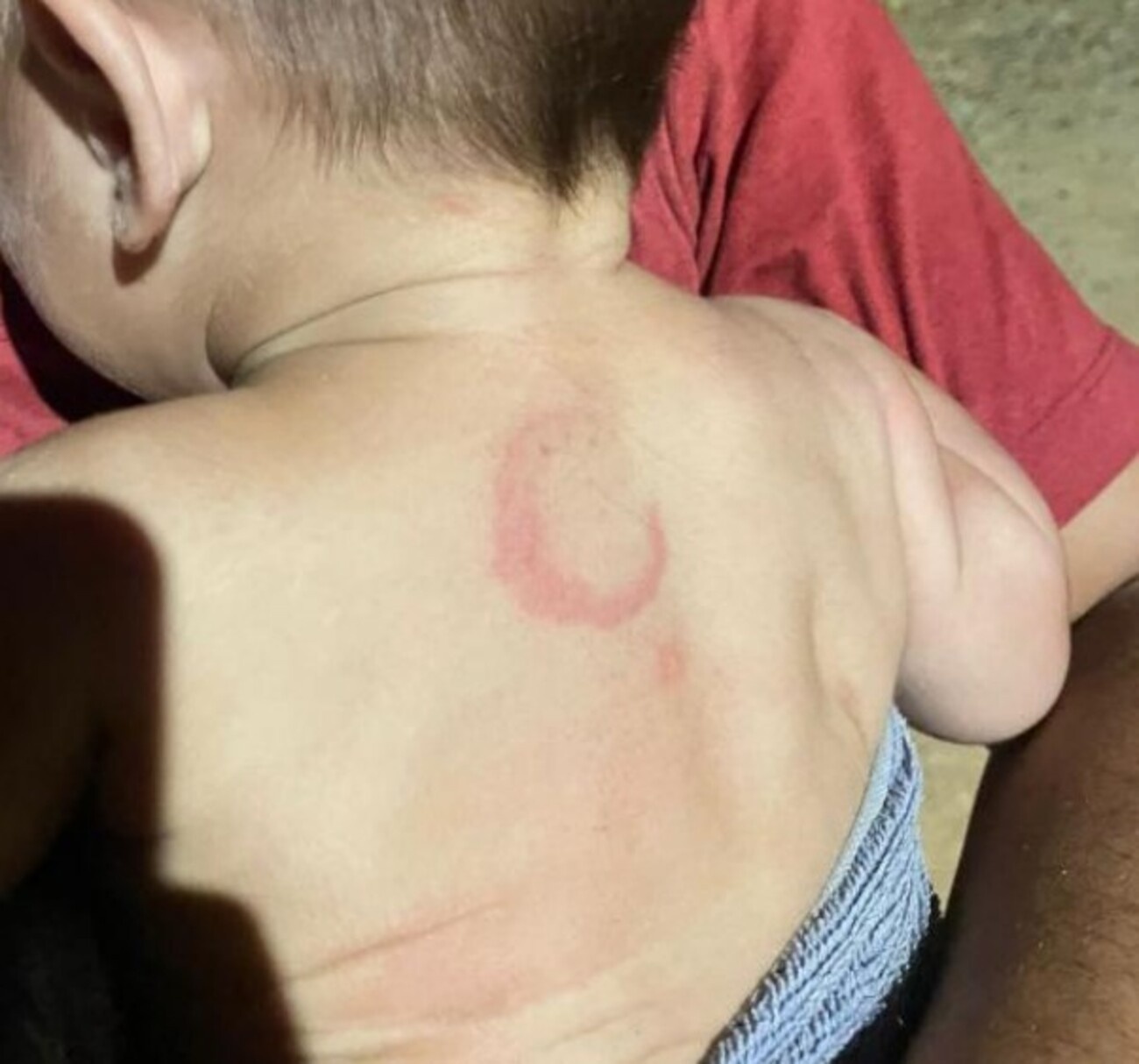 Campo Grande: A Agonia Silenciosa da Infância e o Desafio da Rede de Proteção