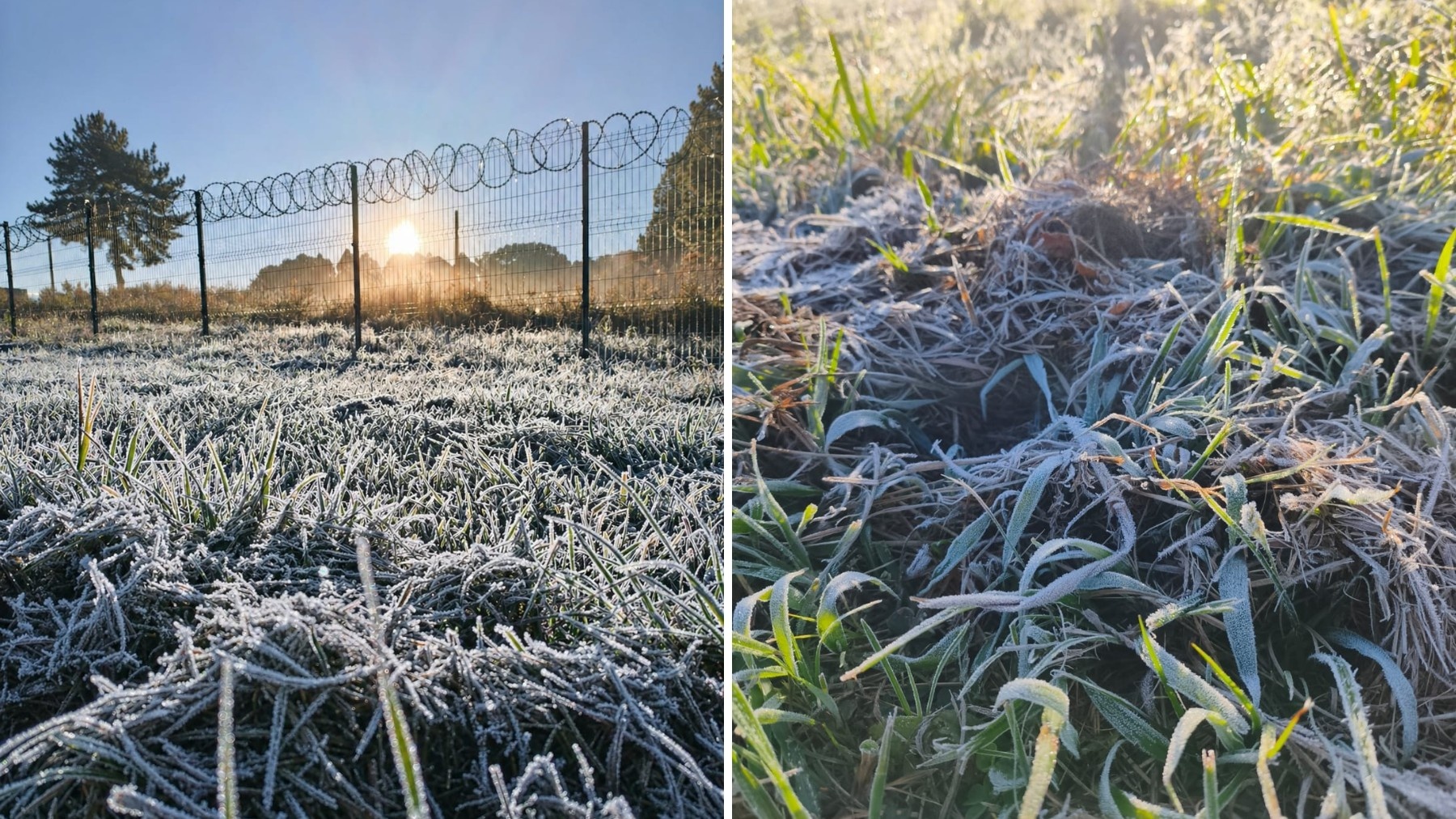Paraná Registra Primeira Geada: As Implicações de um Inverno que Chega Mais Cedo