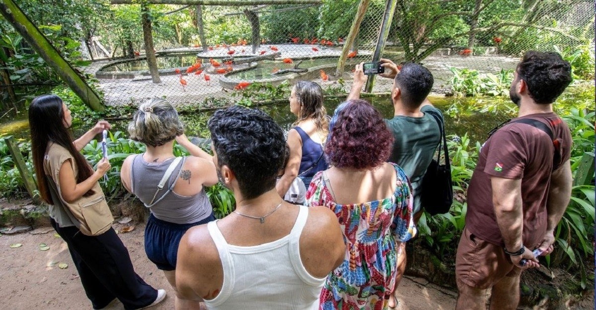 Museu Goeldi e o Parque Zoobotânico: 131 Anos de Patrimônio Amazônico e o Futuro da Bioeducação em Belém