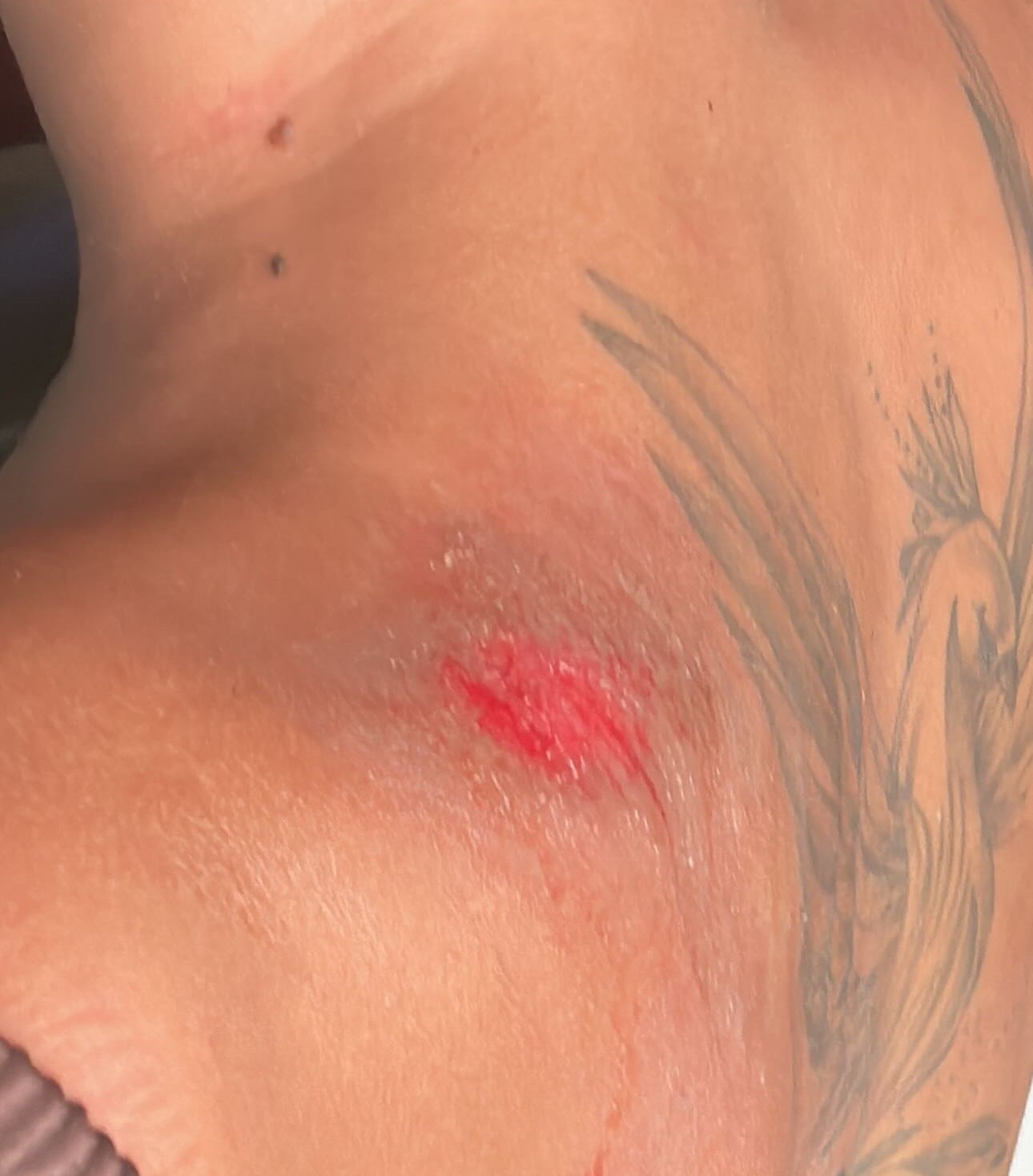 Segurança em Mototáxis por Aplicativo: O Alerta Ignorado de Maceió e Seus Impactos Profundos