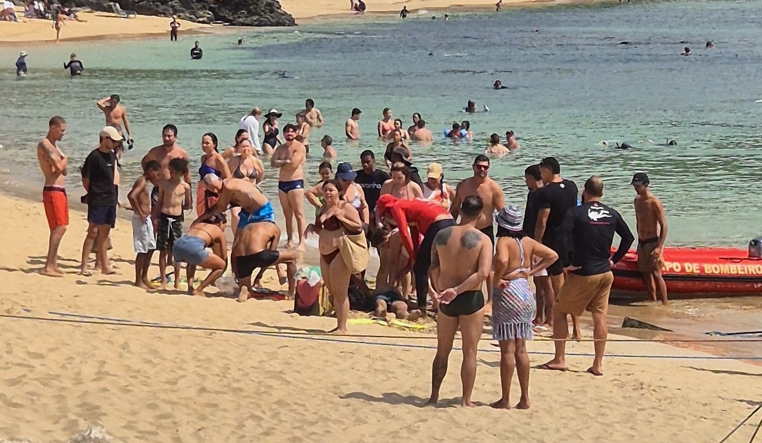 A Perda de 'Cenourinha': Um Alerta Sobre os Desafios Silenciosos da Vida em Fernando de Noronha