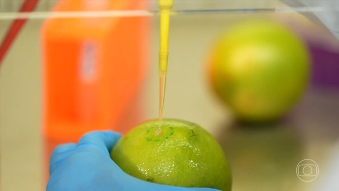 Biodetergente Brasileiro: A Chave para Combater o Desperdício e Impactar a Economia Alimentar Global