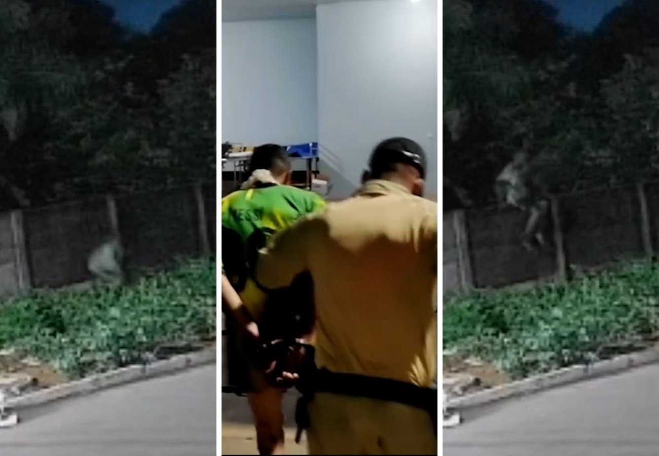 Sacrifício Heroico em Porto Nacional: O Reflexo da Violência Urbana na Segurança Domiciliar do Tocantins