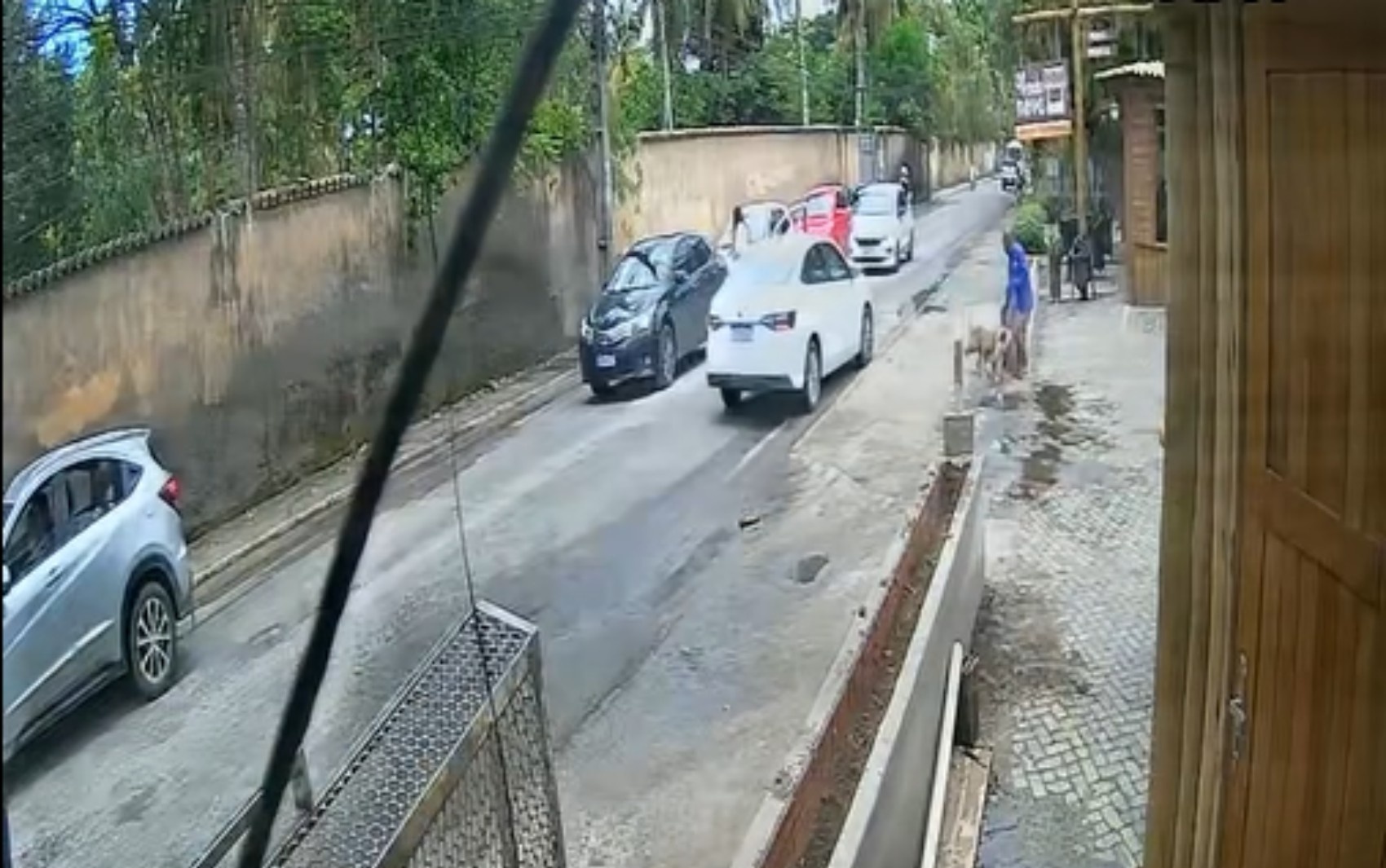Ataque de Pitbull em Arraial d'Ajuda: Um Alerta Profundo para a Segurança Turística na Bahia