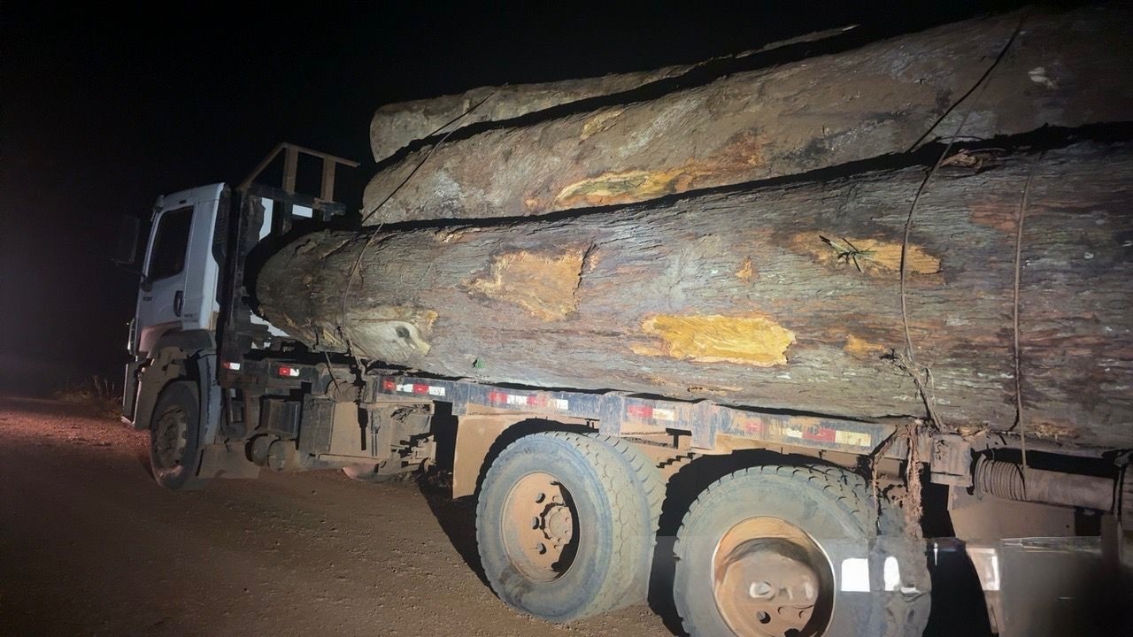 Operação em Rondônia Revela Desafios Crônicos do Desmatamento Ilegal e Seus Efeitos Sociais