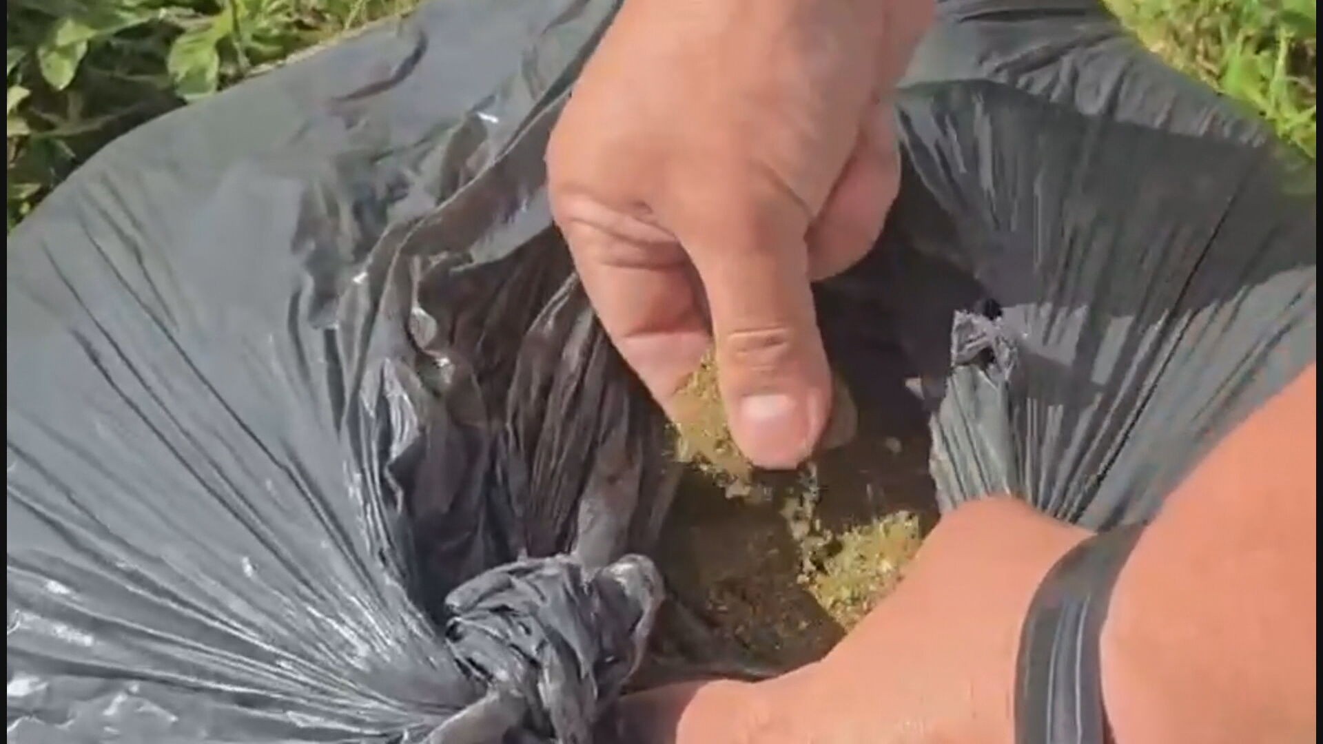 Operação Policial no DF Expõe Logística do Tráfico Desmantelada por Descarte Inesperado