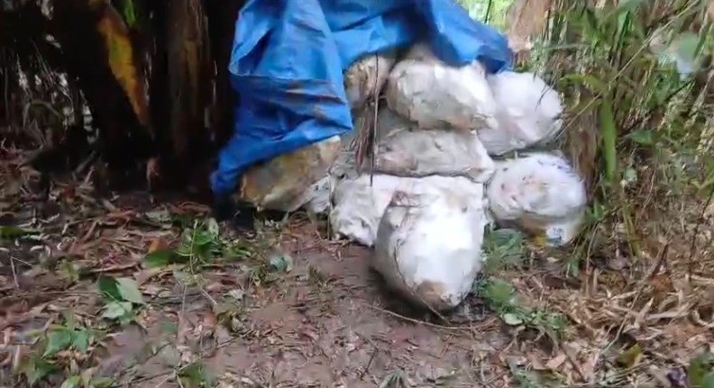 Amapá: Roubo de R$1 Milhão em Grude de Peixe Exige Olhar Profundo sobre Economia Regional e Crime Organizado