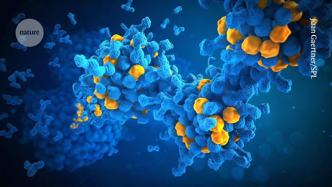 Dinâmica Inesperada de Polímeros: Uma Nova Perspectiva Sobre o Movimento Molecular em Sistemas Biológicos