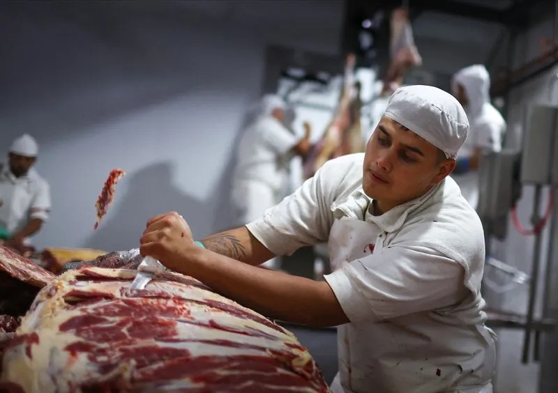 Vetada da UE: O Alerta Global das Novas Regras Antibióticas para a Pecuária Brasileira