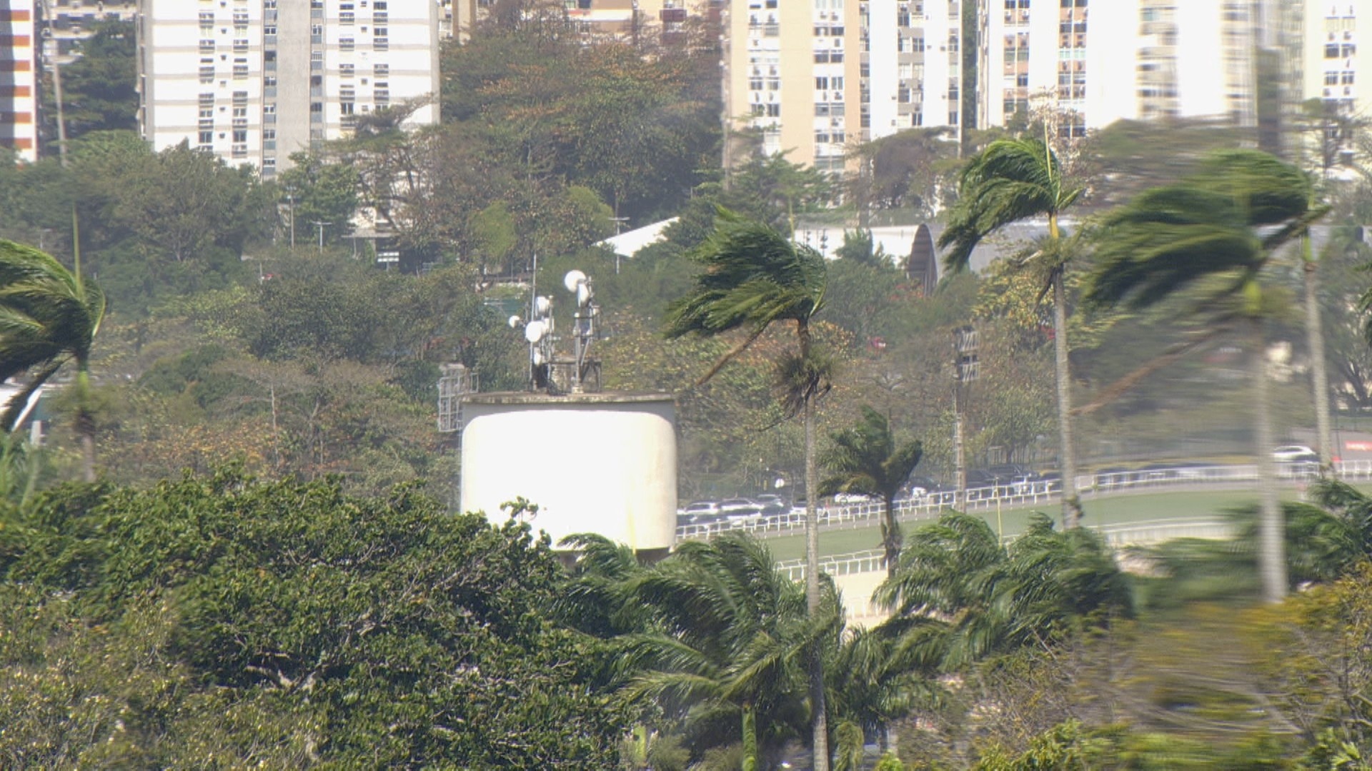 Vendaval no Rio: O 'Porquê' da Atenuação e Seus Reflexos na Gestão de Riscos Regionais