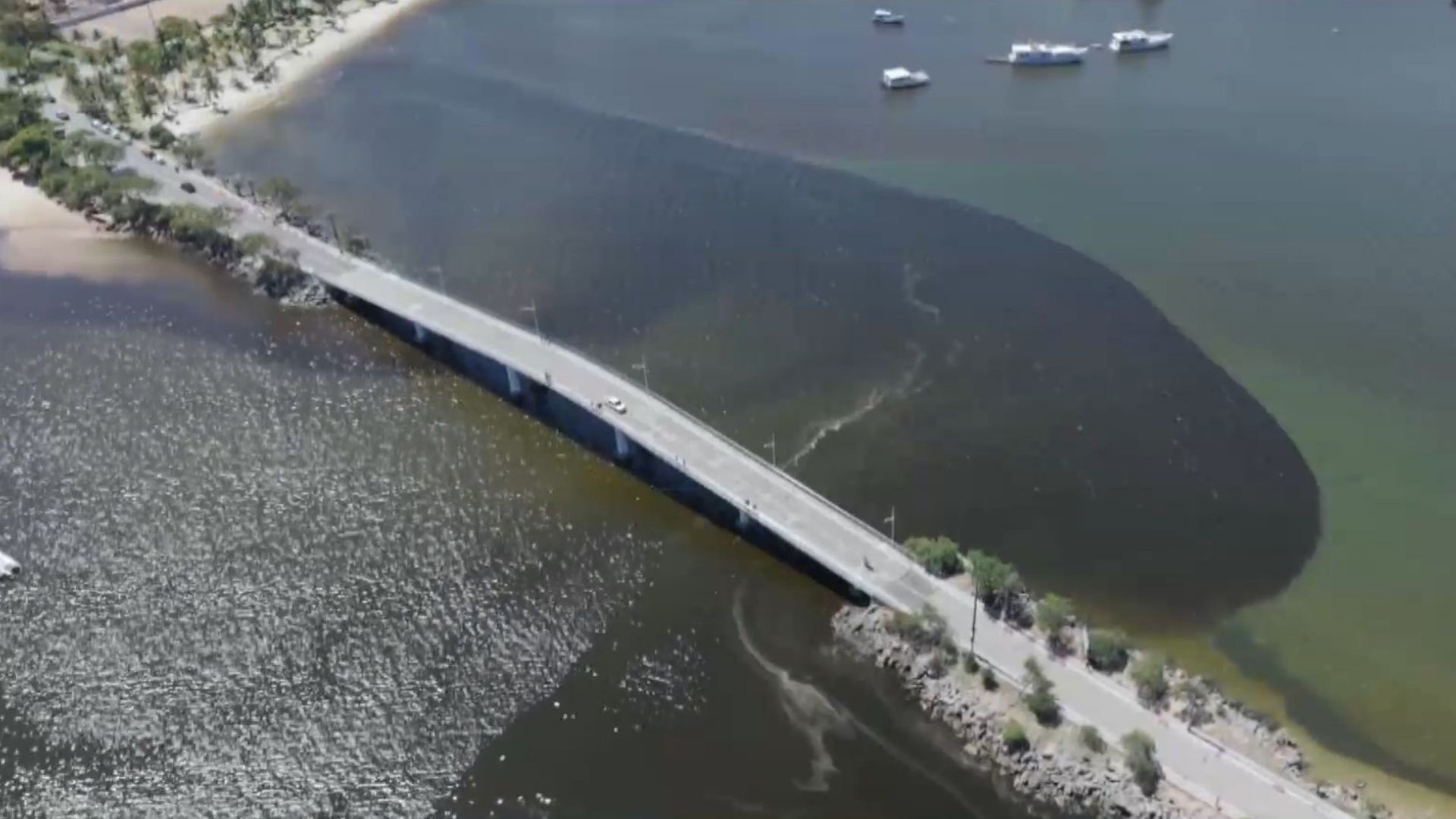 Poluição Marinha em Vitória: TCE-ES e MP Exigem Medidas Urgentes para Despoluir Orla