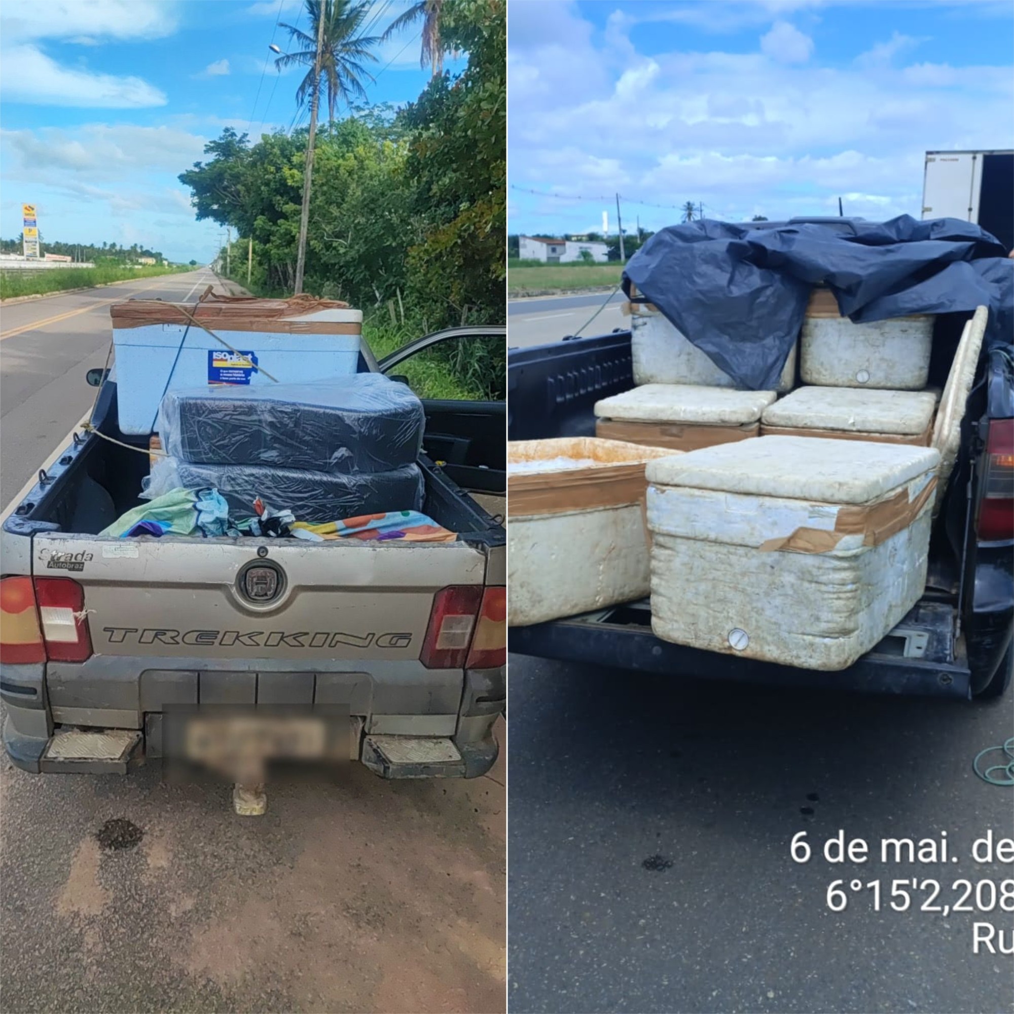 Apreensão de Pescado na BR-101 no RN: Um Espelho da Cadeia Alimentar Subterrânea e seus Riscos