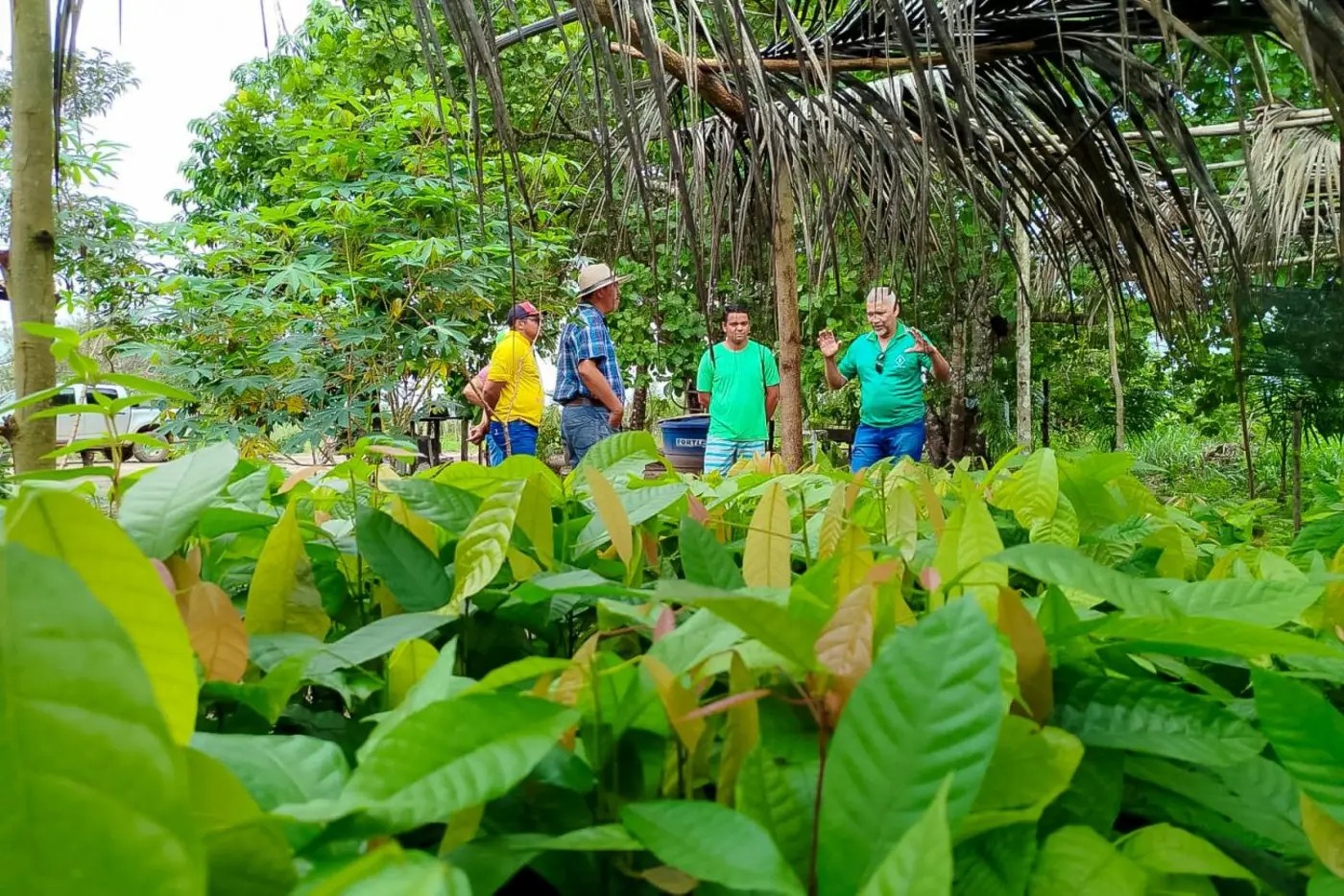 Processo Seletivo da Emater-PA: Um Termômetro do Mercado de Trabalho e Desenvolvimento Regional