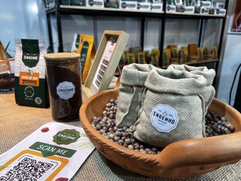 Amapá no Epicentro da Inovação Feminina: Além do Capital, a Transformação Regional