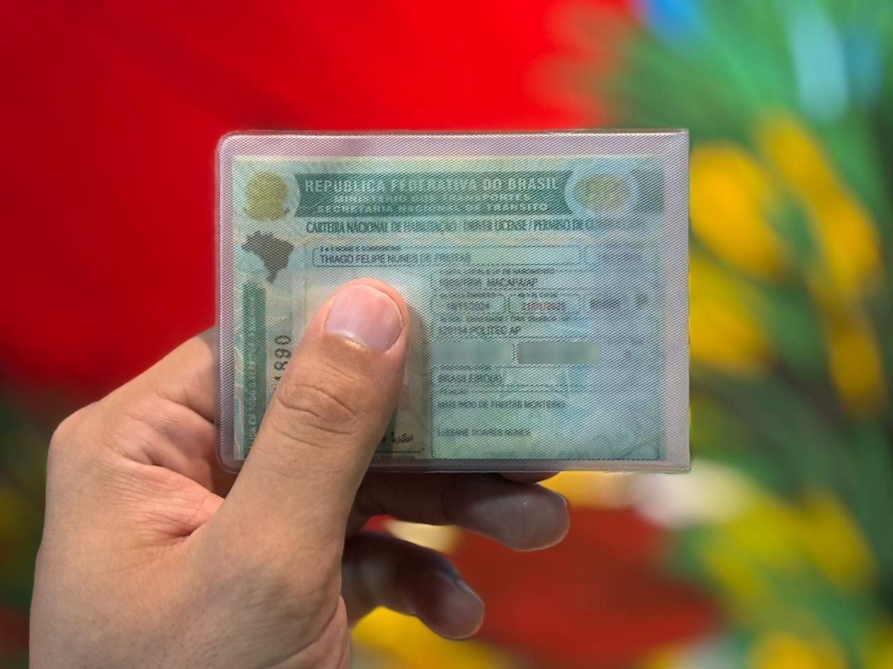 A Proposta de CNH Dupla: As Profundas Ramificações Econômicas para o Motorista Brasileiro