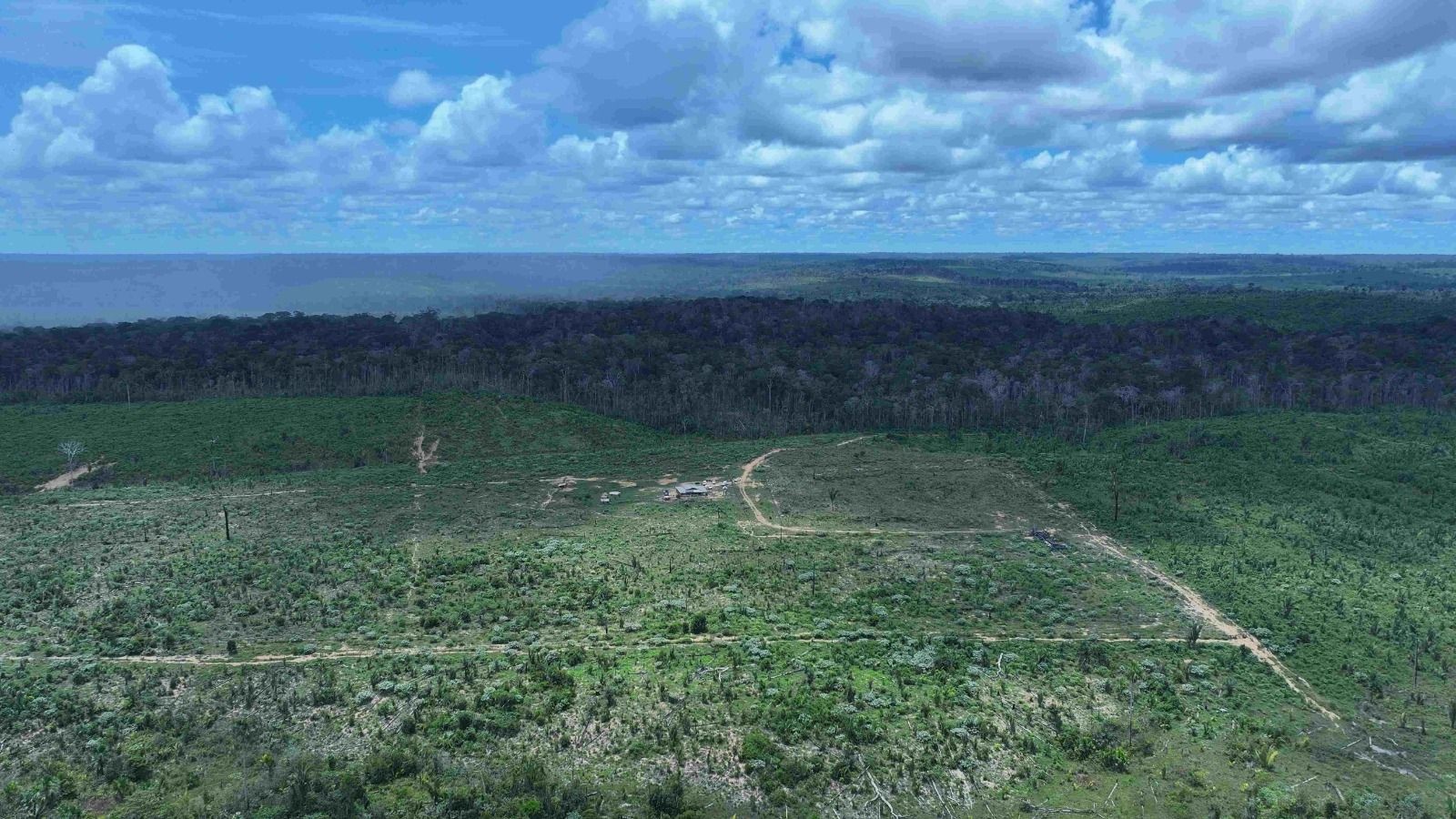 A Desarticulação Ambiental no Congresso: Implicações Profundas para o Futuro do Brasil