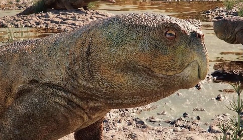 Descoberta de Rincossauro Inédito no RS Reconfigura Entendimento da Vida no Triássico e Conexões Globais